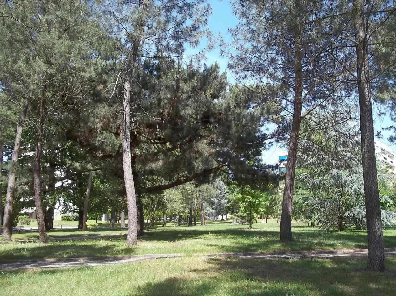 100_0328 (1)