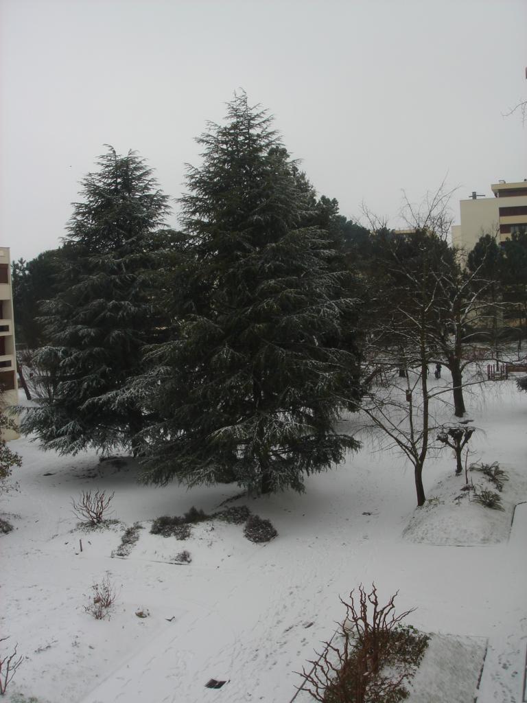 Résidence sous la neige 05 Février 2012