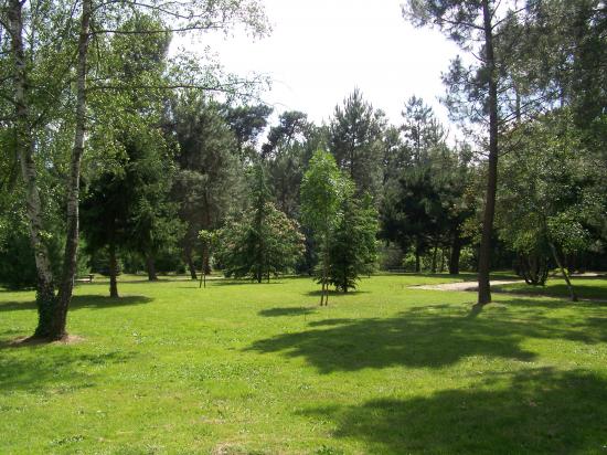 Découverte du parc