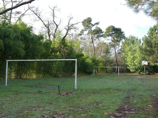 Terrain de Football