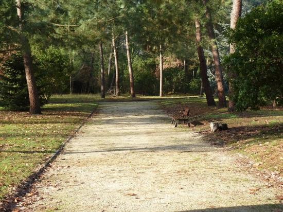 Le boulodrome en automne 1