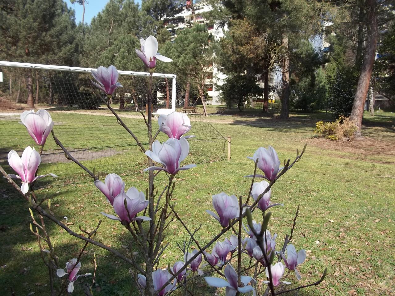 Printemps 2012 3