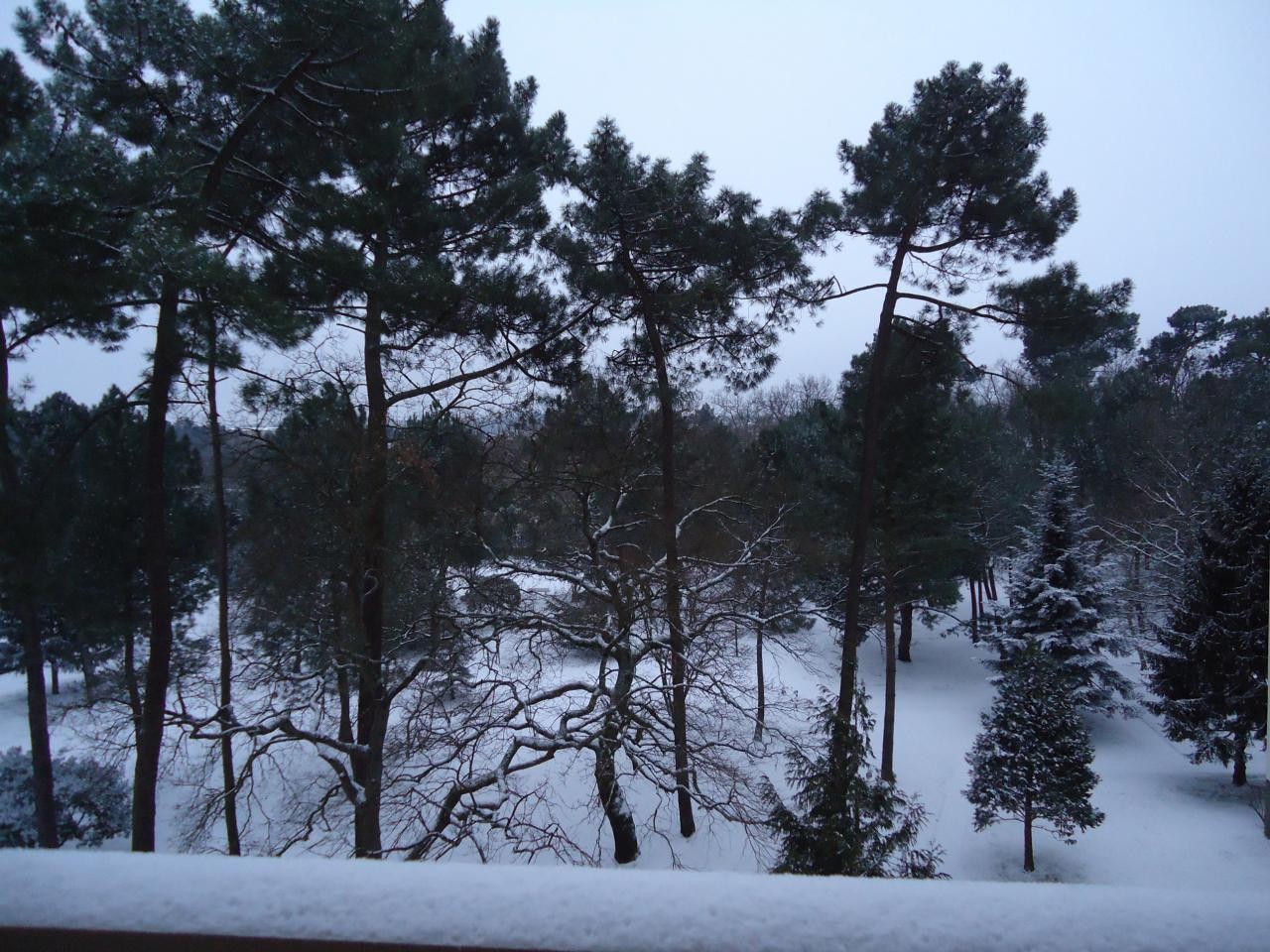 Residence sous la neige 3